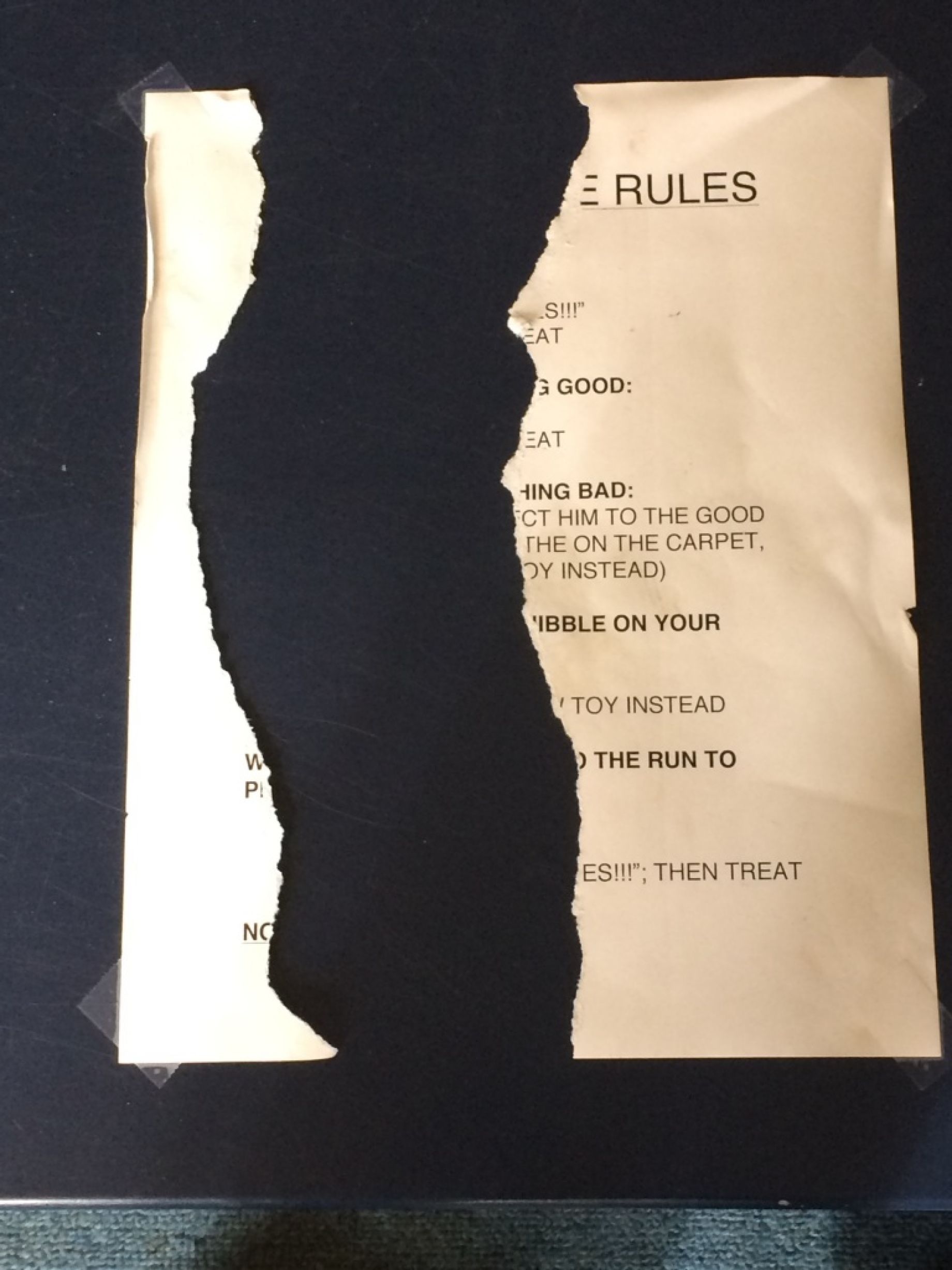 rules