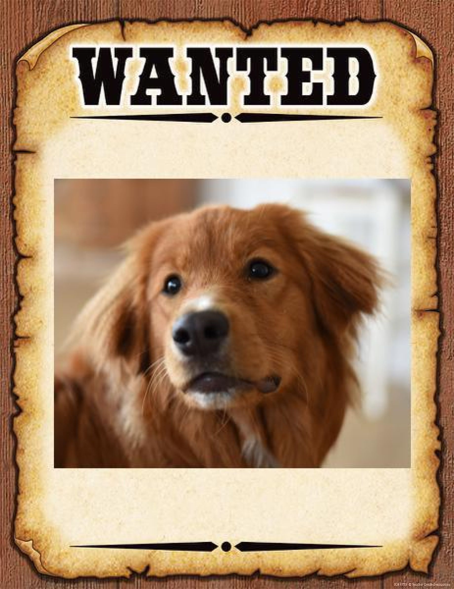 wanted