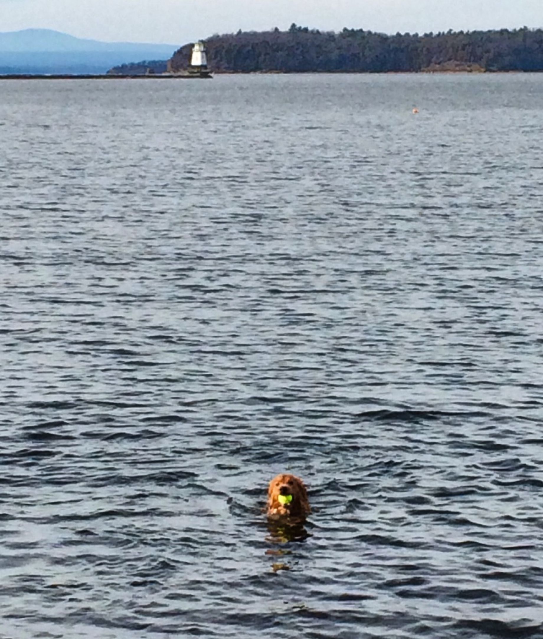 Champlain