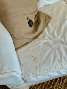 stain